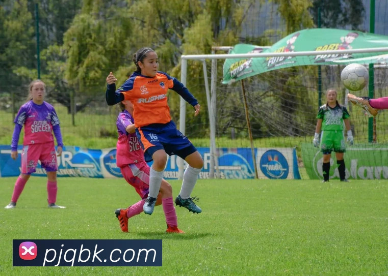 米兰体育在线登陆APP 高清赛事图